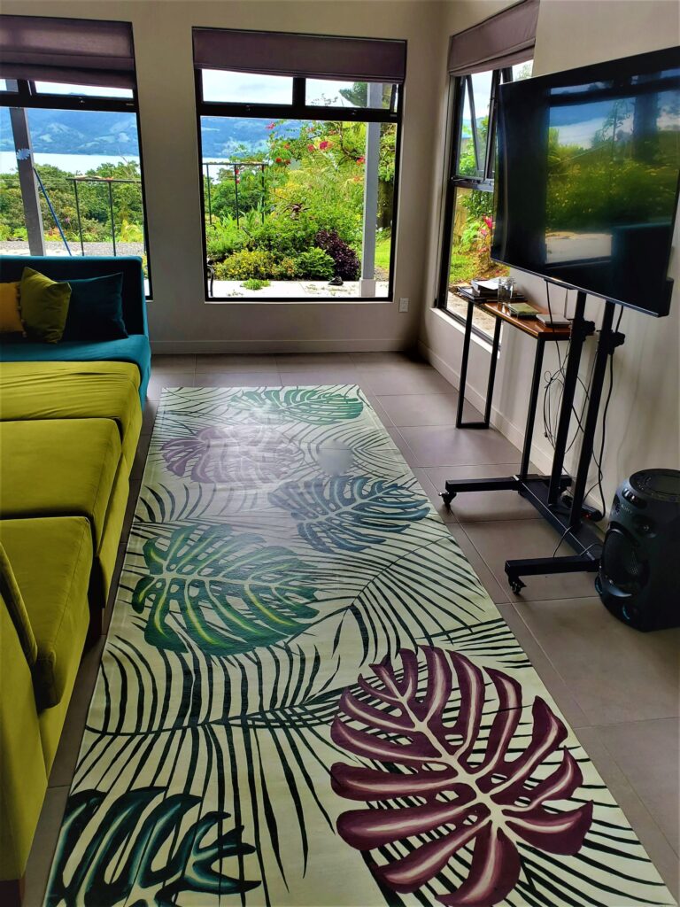 Area rug with view of Arenal volcano